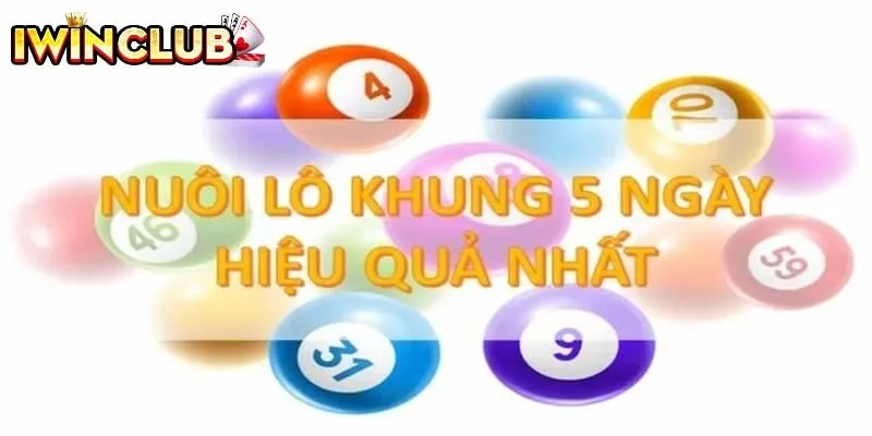 Nuôi lô đề khung 5 ngày hiệu quả nhất 